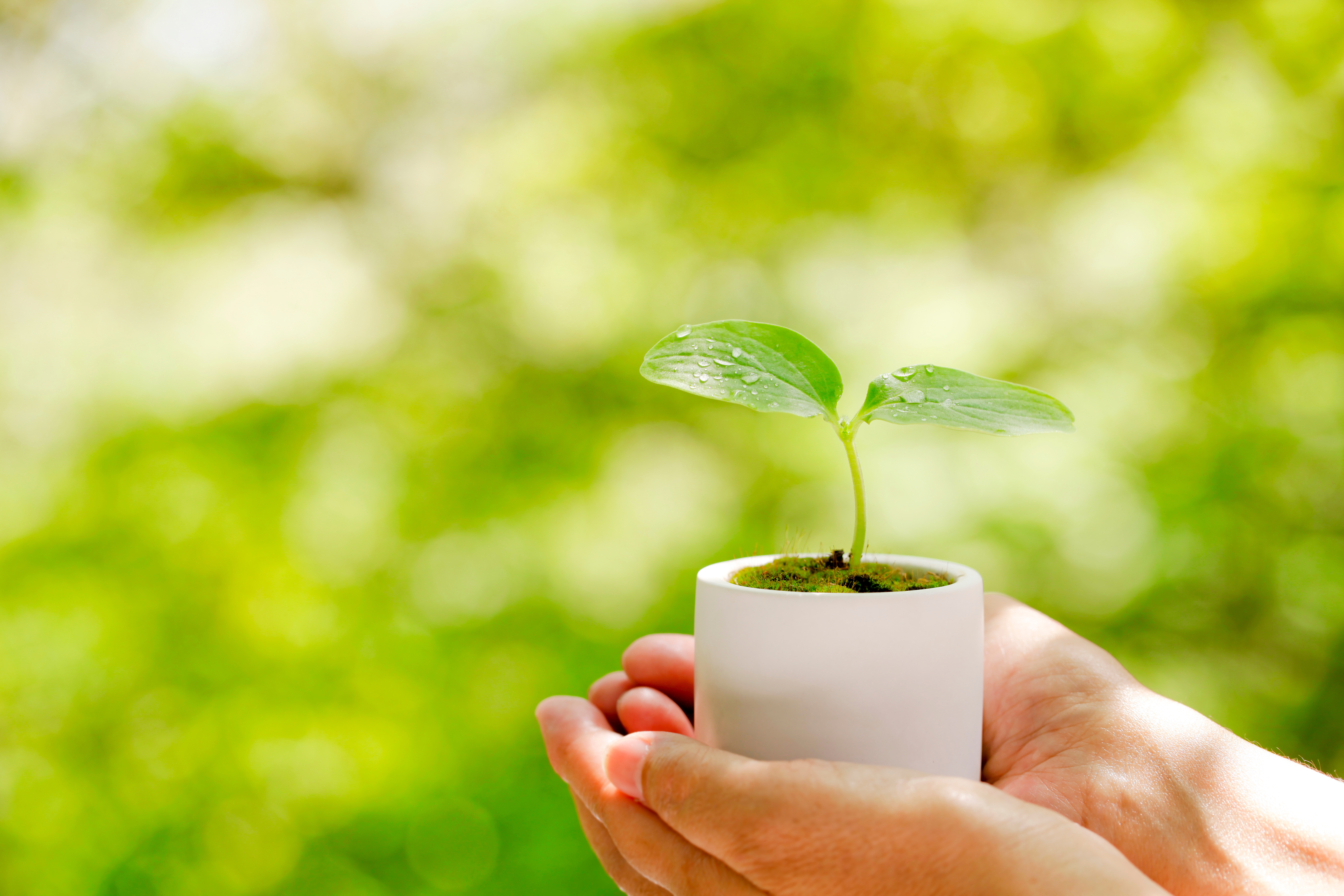 DXソリューションの重要性